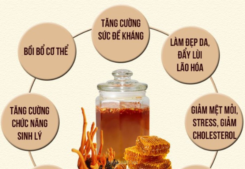 Các tác dụng của mật ong và cách sử dụng mật ong hiệu quả