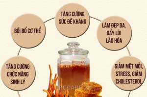 Các tác dụng của mật ong và cách sử dụng mật ong hiệu quả