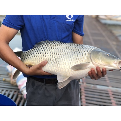 Thùng 24 hộp sữa hạt dinh dưỡng Happy Nutri 400g
